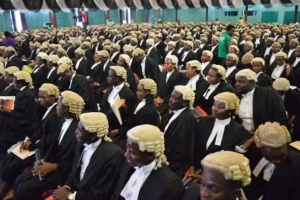 IPPIS: Lawyers Push for Prosecution of ‘ghost workers’, Payroll Frauds