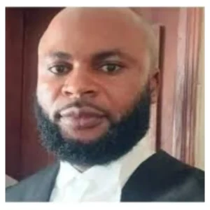 Osun Govt: President Tinubu Has No Power to Direct EFCC – Lawyer, Maduabuchi