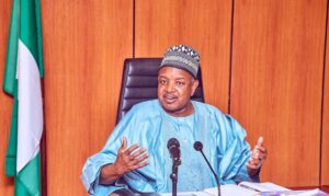 Nigeria’s Budget Too Small for its Population — Minister