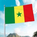 Senegal PM Condemns Western Pressure on Homosexuality Law