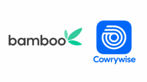 Bamboo, Cowrywise Apps Crash Because Of Dangote IPO