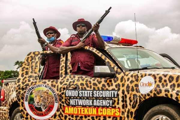 Amotekun Impounds 200 Cows In Ondo