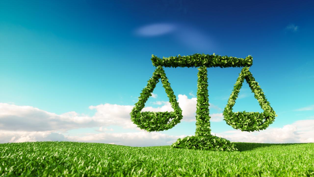 Top 10 Environmental Law Decisions of 2021 – UC Davis