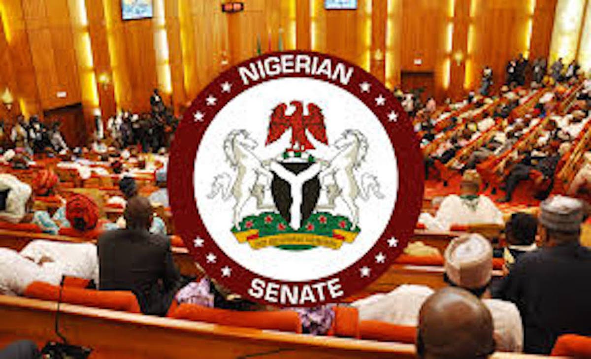 Senate Amends 2022 Supplementary Appropriation Act