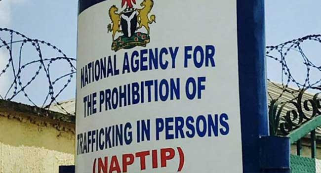 NAPTIP Deputy Director, 4 Others Dismissed for Alleged Misconduct