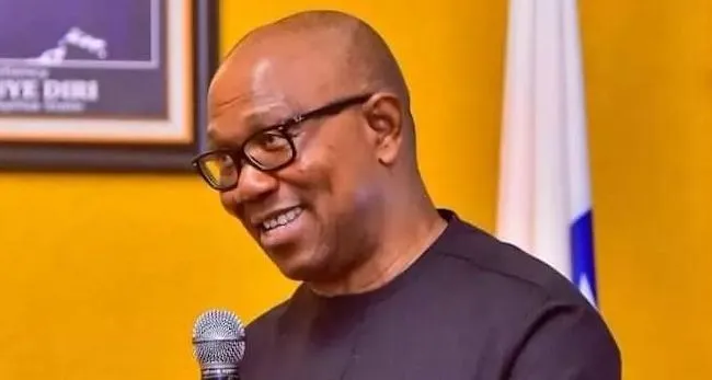 We Have Not Formally Released Our Manifesto – Peter Obi