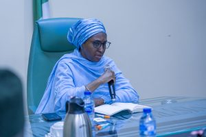 Zainab Shamsuna Ahmed Minister of Finance Budget and National Planning 2
